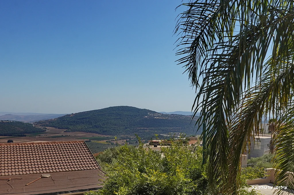 הנסיכה הירוקה