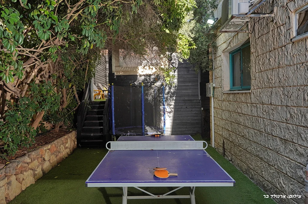 הנסיכה הירוקה