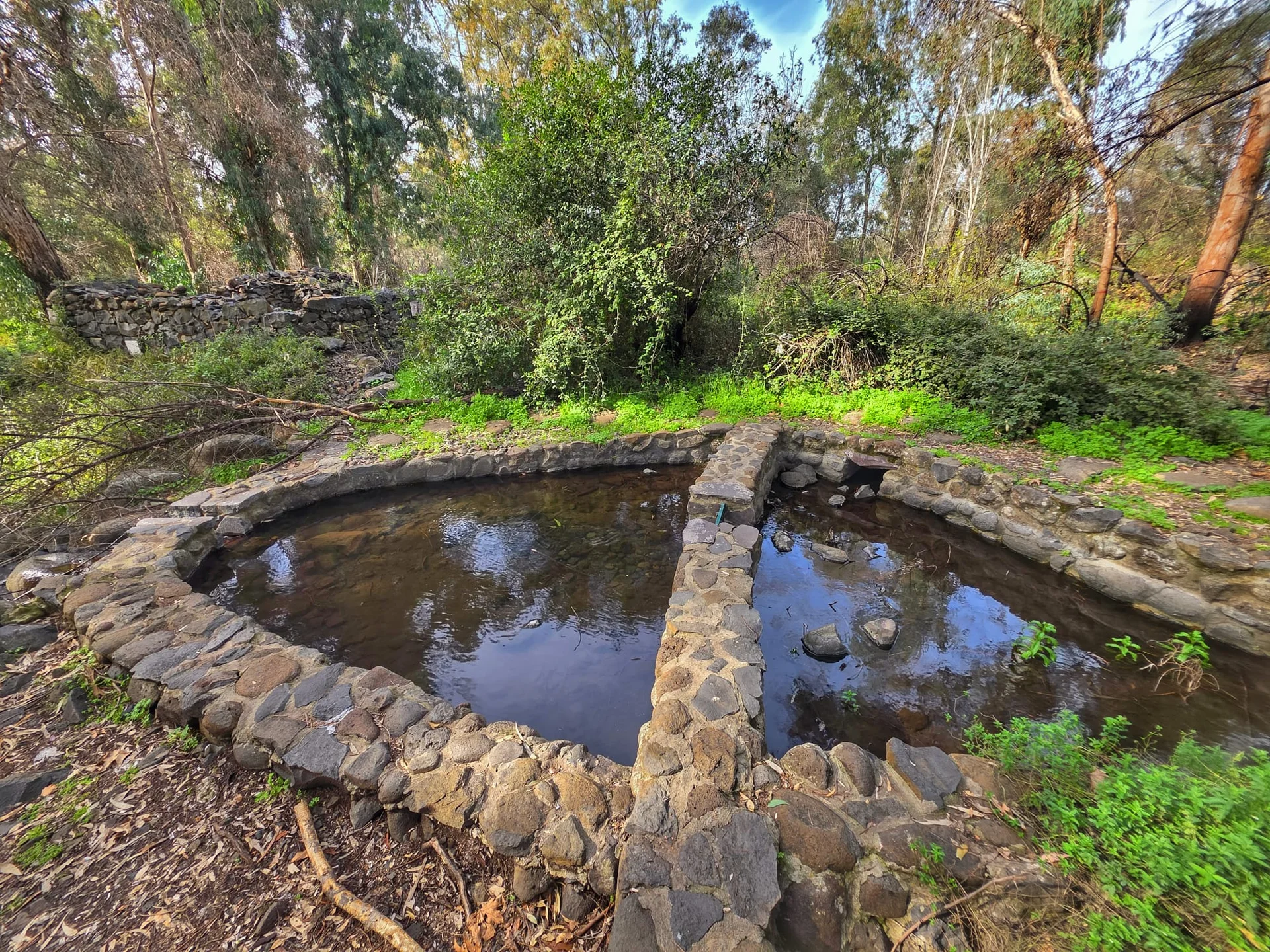 בציר