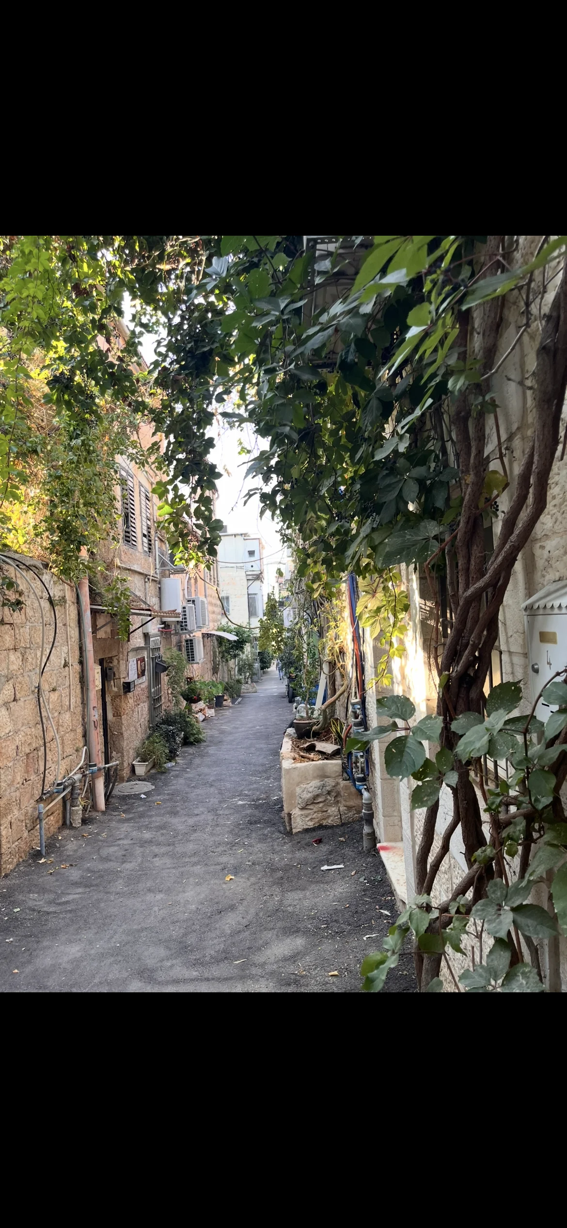 דירת אירוח 3 חדרי שינה וסלון מרווח, צמודה לשוק מחנה יהודה, נחלאות, ירושלים
