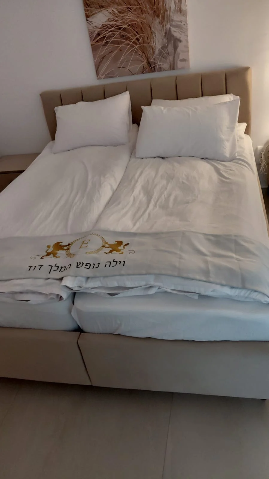 וילה נופש המלך דוד
