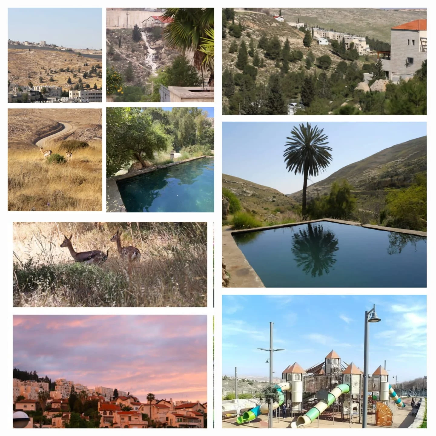 פסגת השלווה